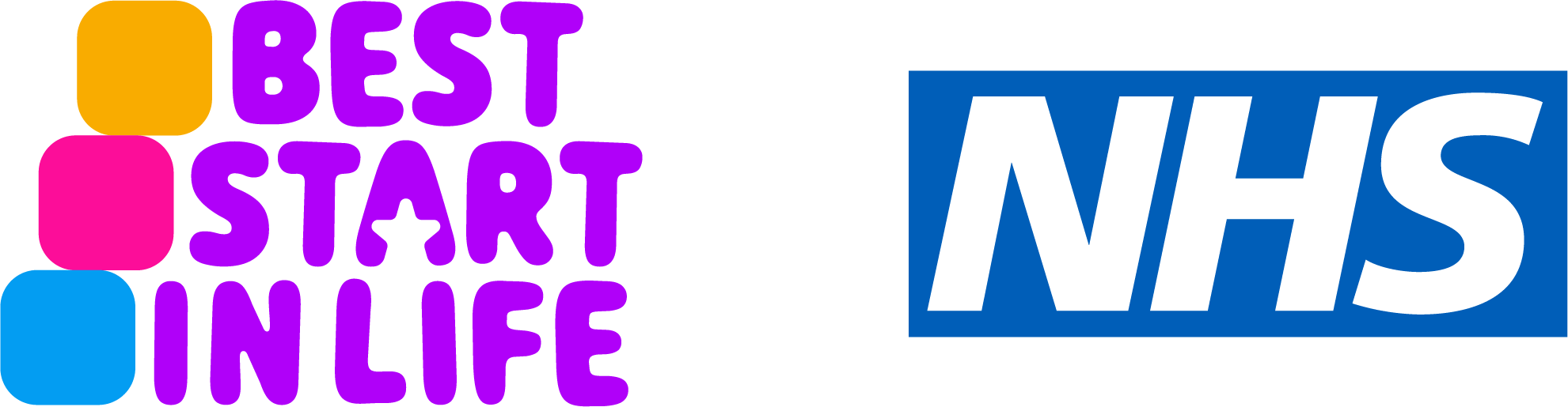 Best start in Life logo